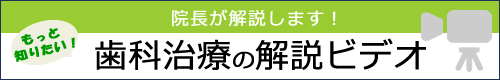解説ビデオ